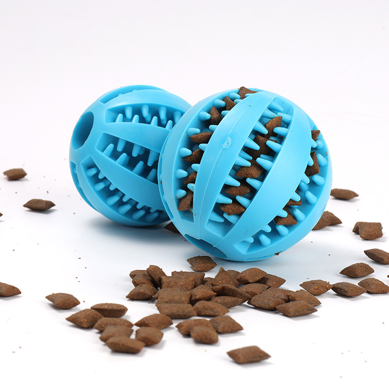 Textured pet chew and dental toy for medium dogs