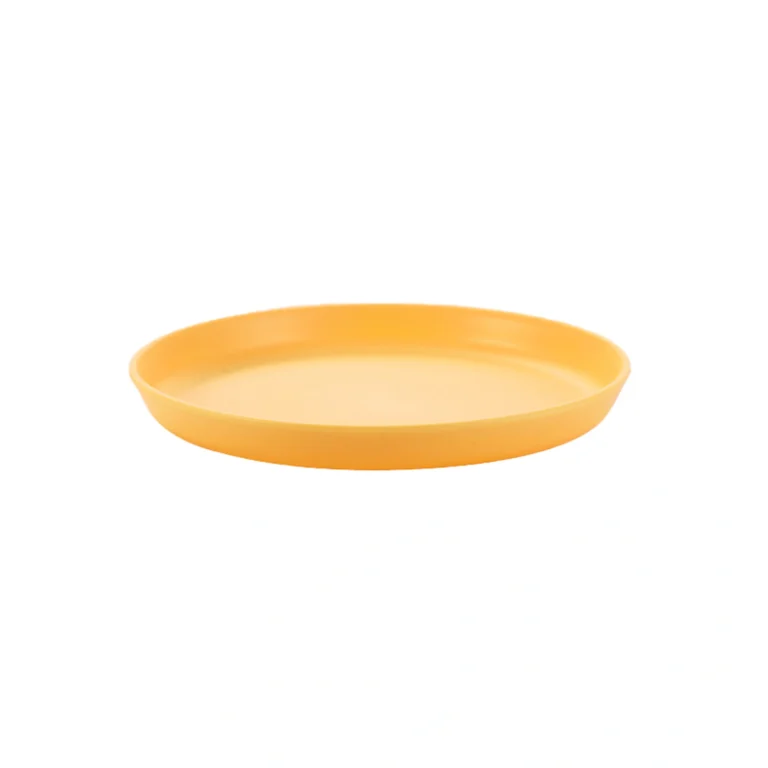 Cat Snack Plate product overview