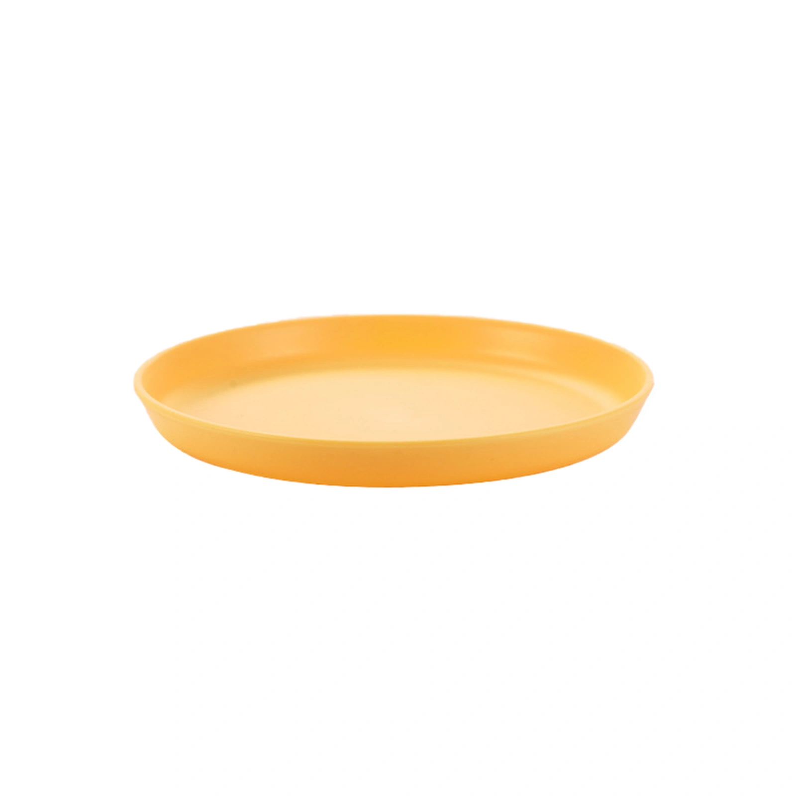 Cat Snack Plate product overview