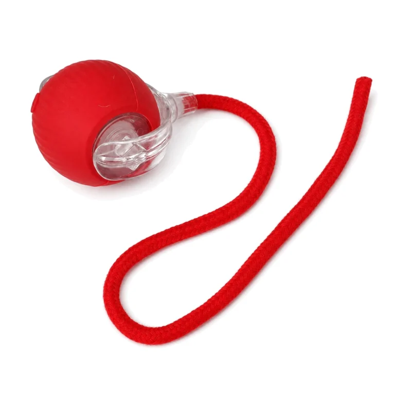 Silicone Cat Treat Ball Toy product overview