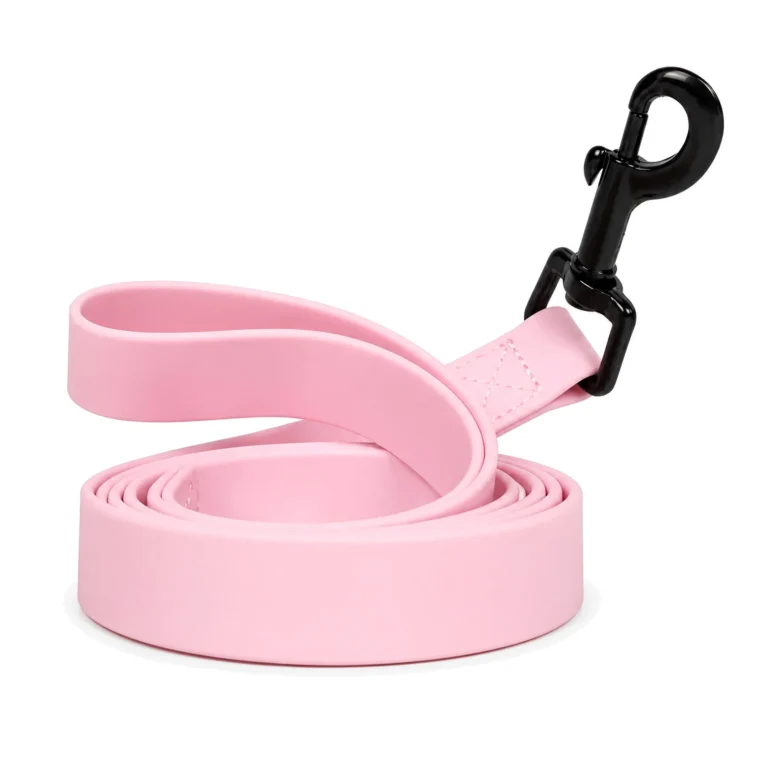 Coated Silicone Pet Leash Wholesale product overview