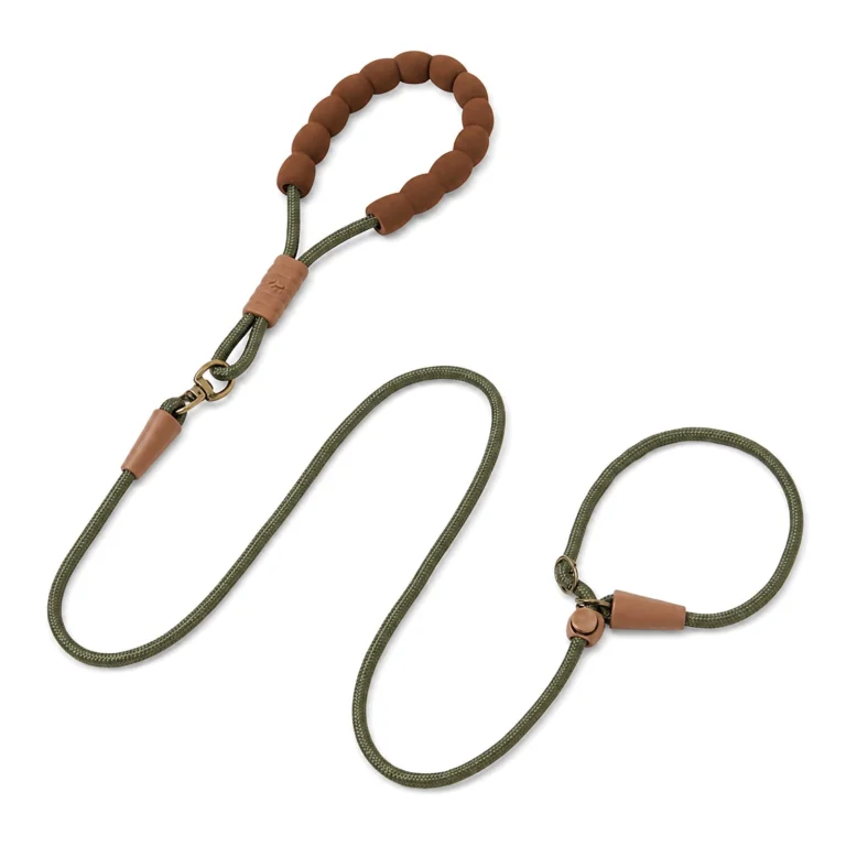 Professional P Chain Pet Leash Wholesale product overview